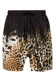 Плавки-шорты с принтом Tiger Tooth Roberto Cavalli, черный - фото