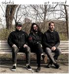 Виниловая пластинка Sebadoh: Act Surprised - фото