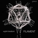Диск CD Filament - Bryce Dessner, eighth blackbird - фото