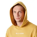 Худи Helly Hansen Core, желтый - фото 6