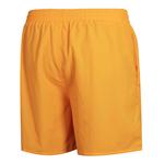 Шорты для плавания Speedo Essentials 16´´ Swimming Shorts, желтый - фото 4