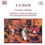 Диск CD Favourite Cantatas - J.S. Bach - фото