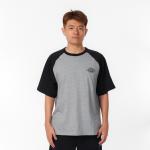 Футболка мужская Dickies, средний перламутрово-серый - фото 8