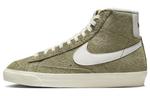 Обувь для скейтбординга Nike Blazer унисекс, Olive - фото