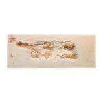 MindWare: раскопай! 3D модель скелета: Тираннозавр Рекс - фото 3