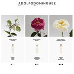 Белая розовая вода 200 мл Adolfo Dominguez - фото 5