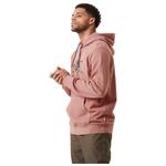 Толстовка с капюшоном Baseball Leo Washed Burlwood - s Picture - фото 3