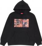 Толстовка Supreme Gremlins Hooded Sweatshirt 'Black', черный - фото
