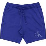 Повседневные шорты для мужчин Calvin Klein, синий - фото