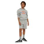 Худи Dickies Youth Logo, серый - фото 3