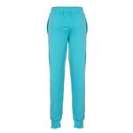 Спортивные штаны для отдыха PZNL Unisex, бирюзовый - фото 3