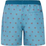 Мужские плавки Parco Protest, синий - фото 2