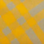 Слинг-щит в клетку наплечная сумка Burberry - фото 5