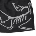 Арктерикс Легкая Шапка Бини Arcteryx, черный - фото 2