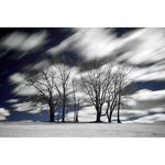 Фильтр Hoya 49mm R72 Infrared Filter B-49RM72-GB - фото 6