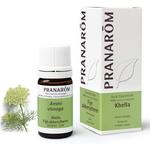 Эфирное масло Pranarôm Khella 5 мл - фото