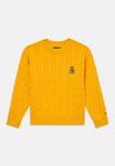 Джемпер Tommy Hilfiger CABLE SWEATER UNISEX, Countryside Yellow/Yellow - фото