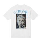 Футболка Stussy Statue Pigment Dyed Tee 'Natural', белый - фото 3