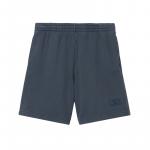 Хлопковые шорты LACOSTE, серо-голубой - фото