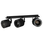 Потолочный светильник Eglo Segovia, черный - фото