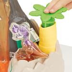 Play-Doh, Slime-HydroGlitz, Остров динозавров F1500 - фото 6