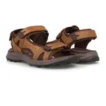 Сандалии Paredes Adelan, коричневый - фото 5