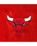 Мужская и женская куртка-бомбер с металлизированными кнопками Red Chicago Bulls The Wild Collective, красный - фото 2