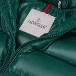 Пуховик Лист Зеленый Детский Moncler - фото 2