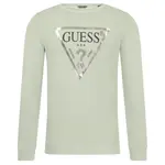 Толстовка обычного кроя Guess, зеленый - фото