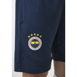 Брюки FENERBAHCE ISTANBUL TRAINING SHORTS Puma, синий - фото 9