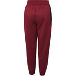 GS Брюки Nike, цвет Scarlet - фото 2