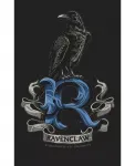 Футболка Big & Tall Ravenclaw Raven Black - 4XL Harry Potter, черный - фото 2