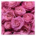 Парфюмерная вода Escada Magnetism, 75 мл - фото 5