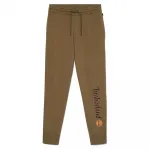 Брюки Timberland Kennebec River Brushed Back, зеленый - фото 3