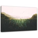 Фрески Feeby Gras Vögel Berg Grün, зеленый - фото