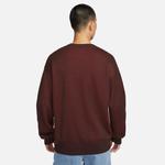 Свитер Nike SB Skate Sweater 'Earth' - фото 4