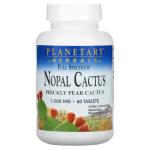 Planetary Herbals, Full Spectrum Nopal Cactus, 1000 мг, 60 таблеток - фото 2