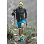 Вертикальные стойки Pro Dynafit, черный - фото 5