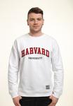 Толстовка PARK FIELDS HARVARD UNIVERSITY SCRIPT Henry Tiger, белый - фото