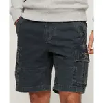 Шорты Superdry Heavy cargo, серый - фото
