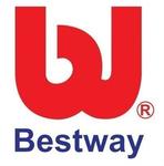 НАДУВНОЙ ДЕТСКИЙ БАССЕЙН ЛАГУНА 262 х 157 х 46 см Bestway - фото 4
