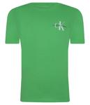 Футболки Regular fit Calvin Klein Jeans, зеленый - фото