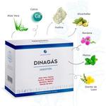 Динагас 4 20 Флаконов Dinadiet - фото 2