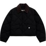 Коллекция одежды Куртка женская черный The North Face - фото