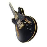 Электрогитара Ibanez John Scofield Signature 6-String Electric Guitar with Case - фото 2