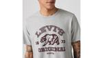 Классическая футболка с рисунком Levi's, Heather Grey - Grey - фото 4