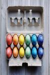 Colored Egg Journal: Colored Egg Notebook (Independently published) - фото