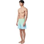 Плавательные шорты мужские градиентно-зеленые Anta, зеленый - фото 4