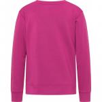 Толстовка ава свитшот Joy, фуксия - фото 2