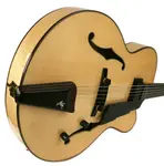 Eastman AR880CE-BD - фото 5